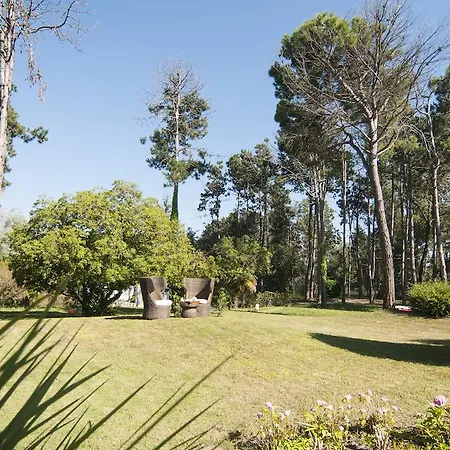 Park