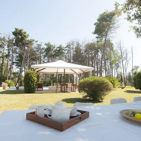 Park 5* Μπιμπιόνε